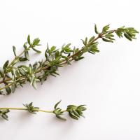Thyme (Bunch)
