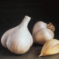Garlic, Hardneck (Each)