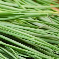 Chives (Bunch)