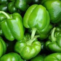 Green Bell Peppers (Each)