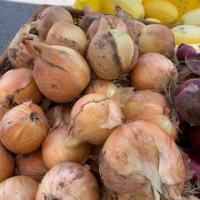 Onions, Yellow (Pound)